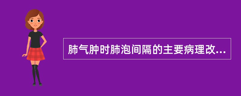 肺气肿时肺泡间隔的主要病理改变是肺泡间隔