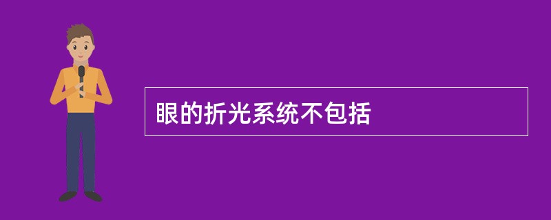 眼的折光系统不包括