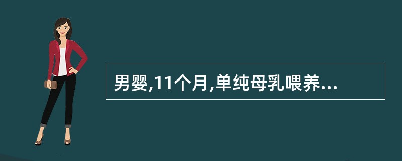 男婴,11个月,单纯母乳喂养,不规则添加辅食。因面色进行性苍白3个月,发热、咳嗽