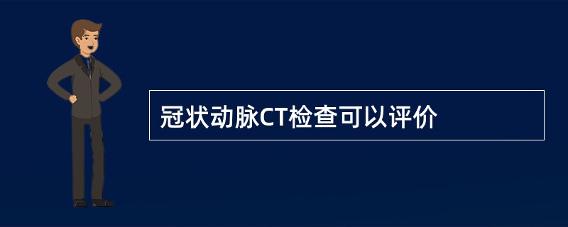 冠状动脉CT检查可以评价