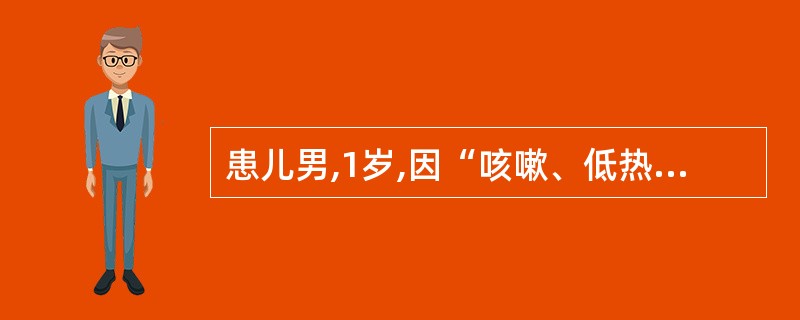 患儿男,1岁,因“咳嗽、低热2d”来诊。查体:T37.5℃,R35次£¯min;