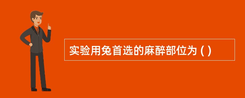 实验用兔首选的麻醉部位为 ( )