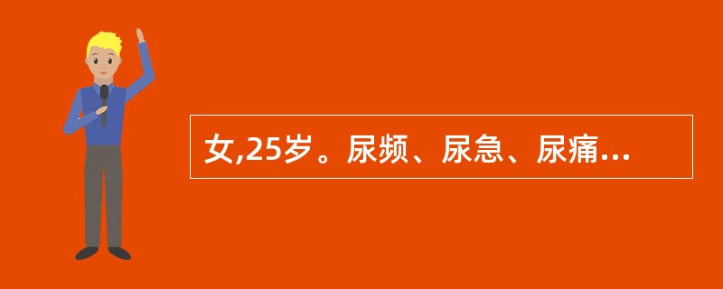 女,25岁。尿频、尿急、尿痛,血尿伴发热39℃1天入院,无呕吐、无腰痛,尿蛋白(