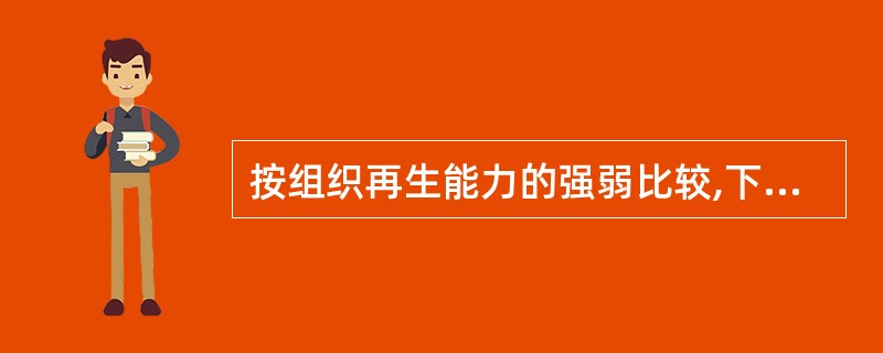 按组织再生能力的强弱比较,下列哪项是正确的 ( )