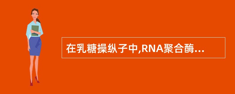 在乳糖操纵子中,RNA聚合酶结合的是