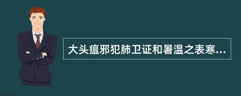 大头瘟邪犯肺卫证和暑温之表寒里热证共见( )