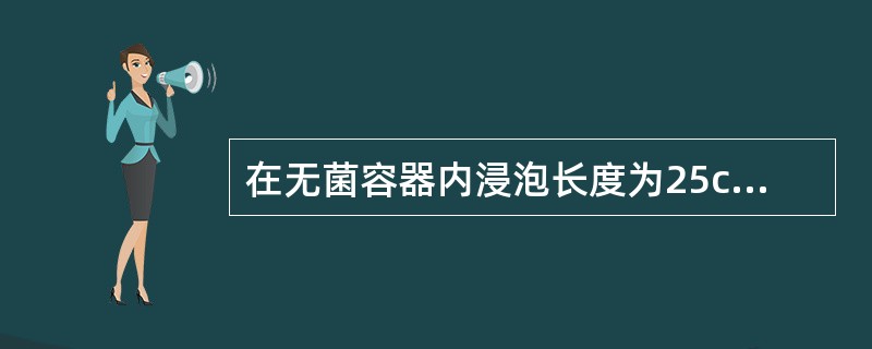 在无菌容器内浸泡长度为25cm的持物镊,消毒液的合适高度为