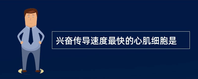 兴奋传导速度最快的心肌细胞是