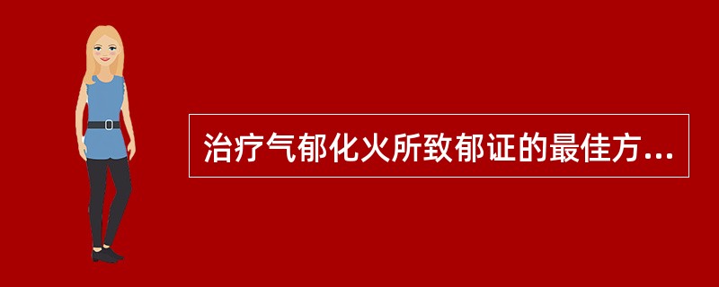 治疗气郁化火所致郁证的最佳方剂是( )