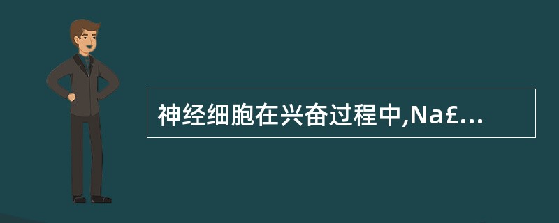 神经细胞在兴奋过程中,Na£«内流和K£«外流的量决定于