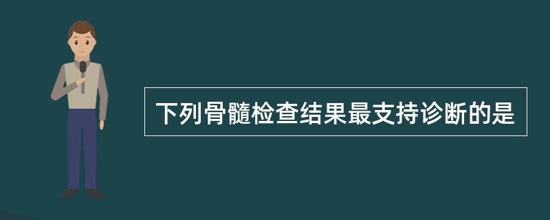 下列骨髓检查结果最支持诊断的是
