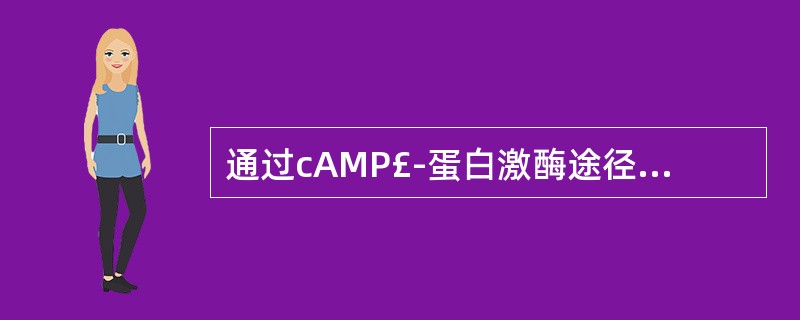 通过cAMP£­蛋白激酶途径发挥作用的激素有