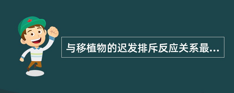 与移植物的迟发排斥反应关系最密切的细胞是( )