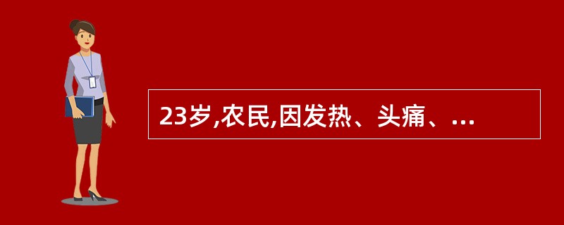 23岁,农民,因发热、头痛、全身酸痛、软弱无力1周于9月4日入院。当天起出现心慌