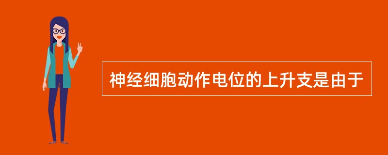 神经细胞动作电位的上升支是由于