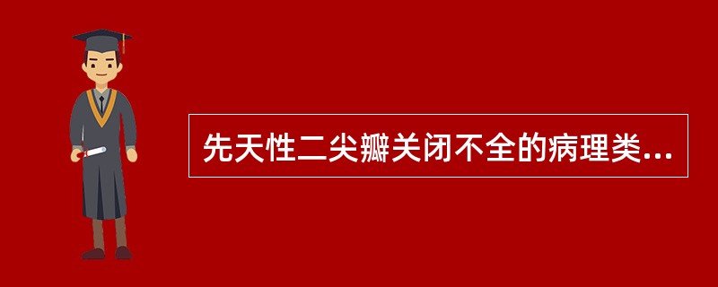 先天性二尖瓣关闭不全的病理类型包括( )