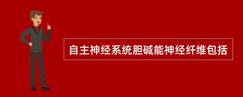 自主神经系统胆碱能神经纤维包括