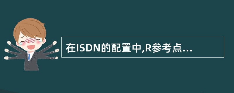 在ISDN的配置中,R参考点位于(61)之间。