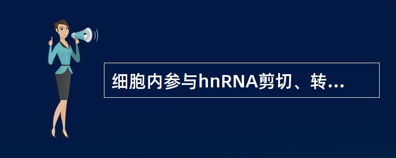 细胞内参与hnRNA剪切、转运的RNA主要是
