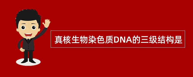 真核生物染色质DNA的三级结构是