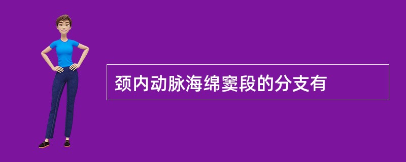 颈内动脉海绵窦段的分支有