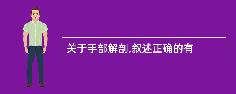 关于手部解剖,叙述正确的有