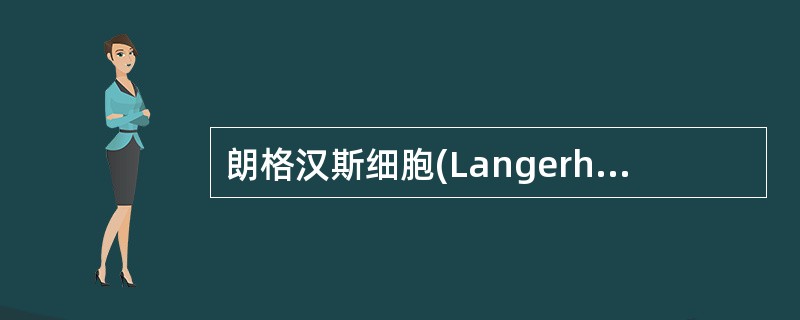 朗格汉斯细胞(Langerhans cell)具有的功能有