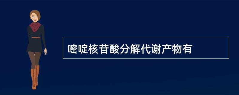 嘧啶核苷酸分解代谢产物有