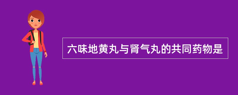 六味地黄丸与肾气丸的共同药物是