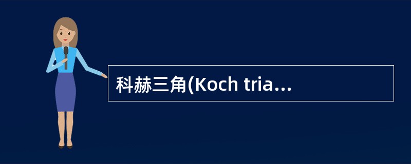 科赫三角(Koch triangle)的组成包括