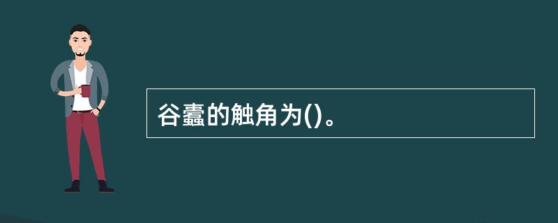 谷蠹的触角为()。