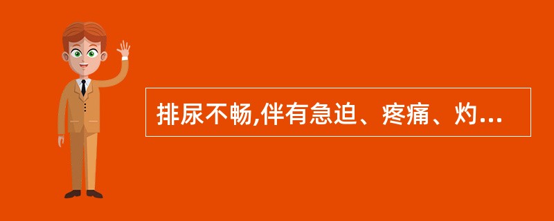 排尿不畅,伴有急迫、疼痛、灼热感者,为