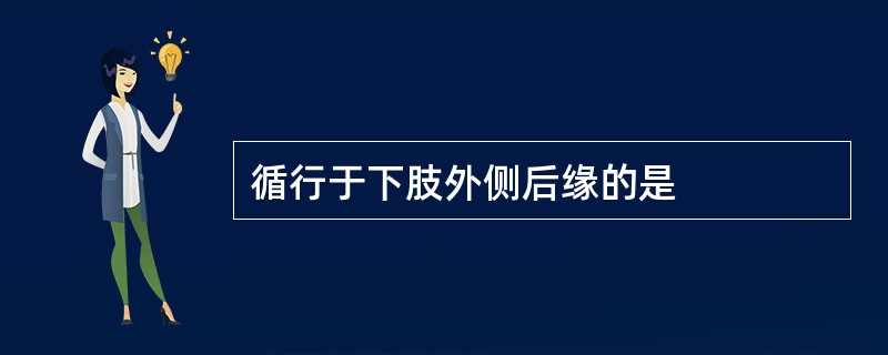 循行于下肢外侧后缘的是