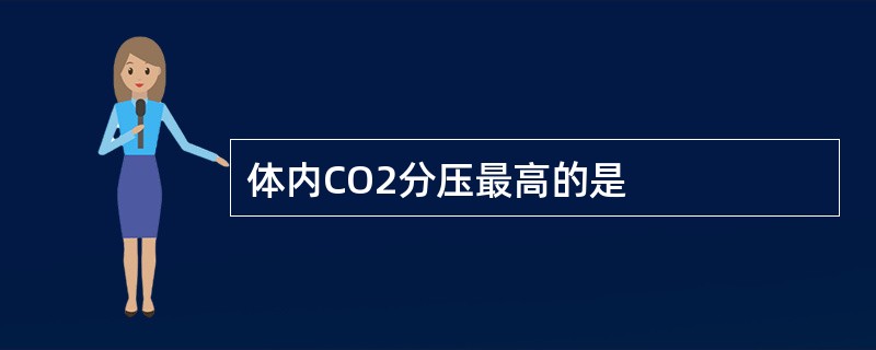 体内CO2分压最高的是