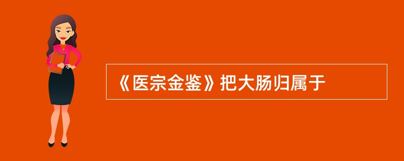 《医宗金鉴》把大肠归属于