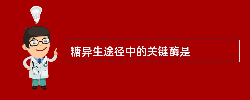 糖异生途径中的关键酶是