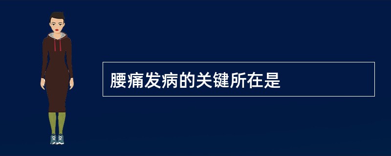 腰痛发病的关键所在是