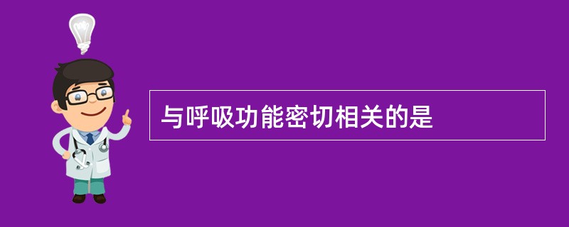 与呼吸功能密切相关的是