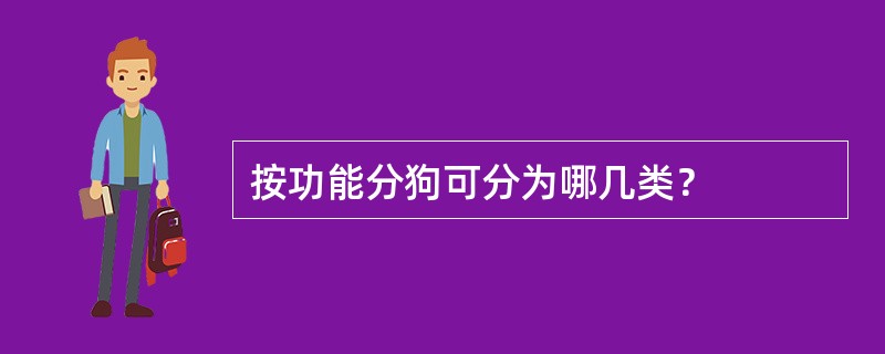 按功能分狗可分为哪几类？