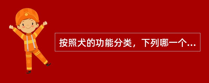 按照犬的功能分类，下列哪一个不属于该分类项目（）
