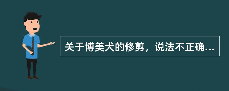 关于博美犬的修剪，说法不正确的项是（）。