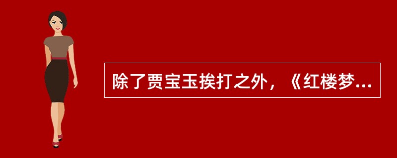 除了贾宝玉挨打之外，《红楼梦》中还描写了贾府中（）也挨过父亲的责打。