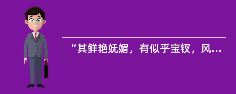 “其鲜艳妩媚，有似乎宝钗，风流婀娜，则又如黛玉。”指的是（）