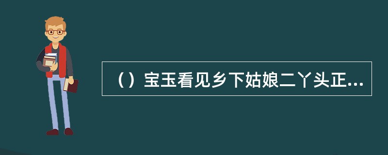 （）宝玉看见乡下姑娘二丫头正在做什么？