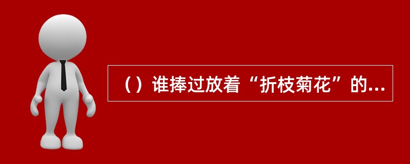 （）谁捧过放着“折枝菊花”的盘子来让贾母挑？