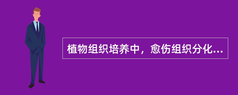 植物组织培养中，愈伤组织分化根或芽取决于培养基中下列哪两种激素的比例（）。
