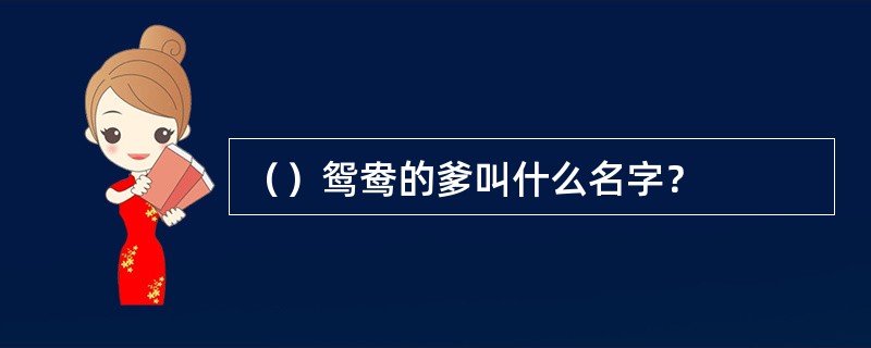 （）鸳鸯的爹叫什么名字？