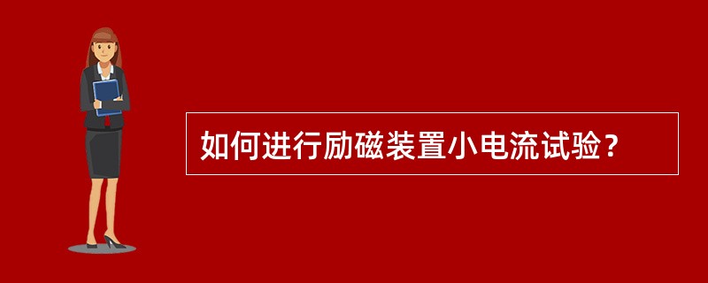 如何进行励磁装置小电流试验？