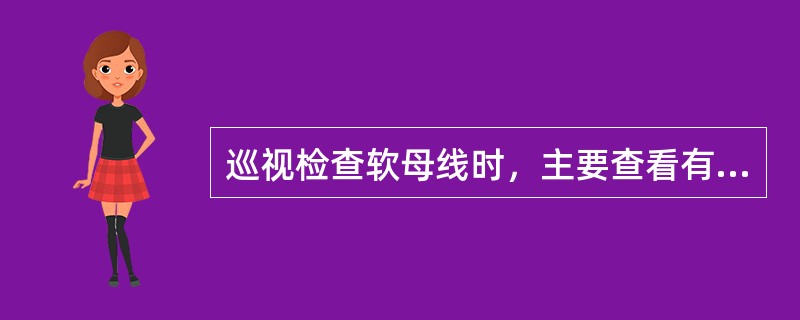 巡视检查软母线时，主要查看有无（）、（），及（）。