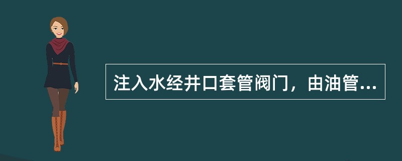 注入水经井口套管阀门，由油管环形空间注入地层，这类注水井属于（）。